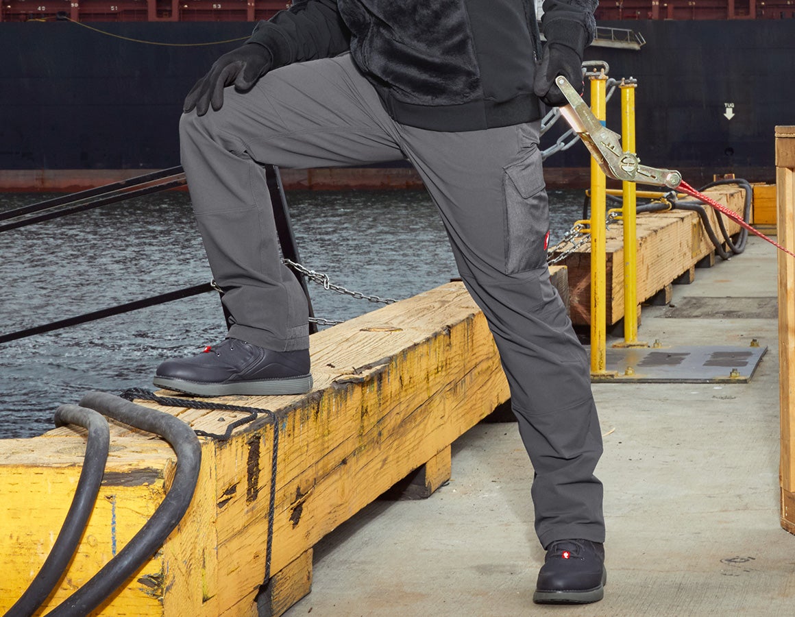 Funktions Cargohose e.s.dynashield solid