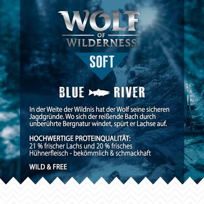 Wolf of Wilderness 