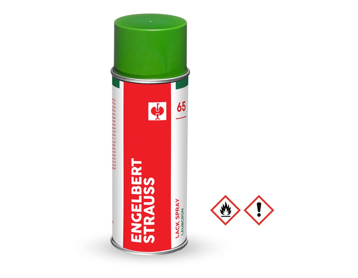 e.s. Lackspray #65
