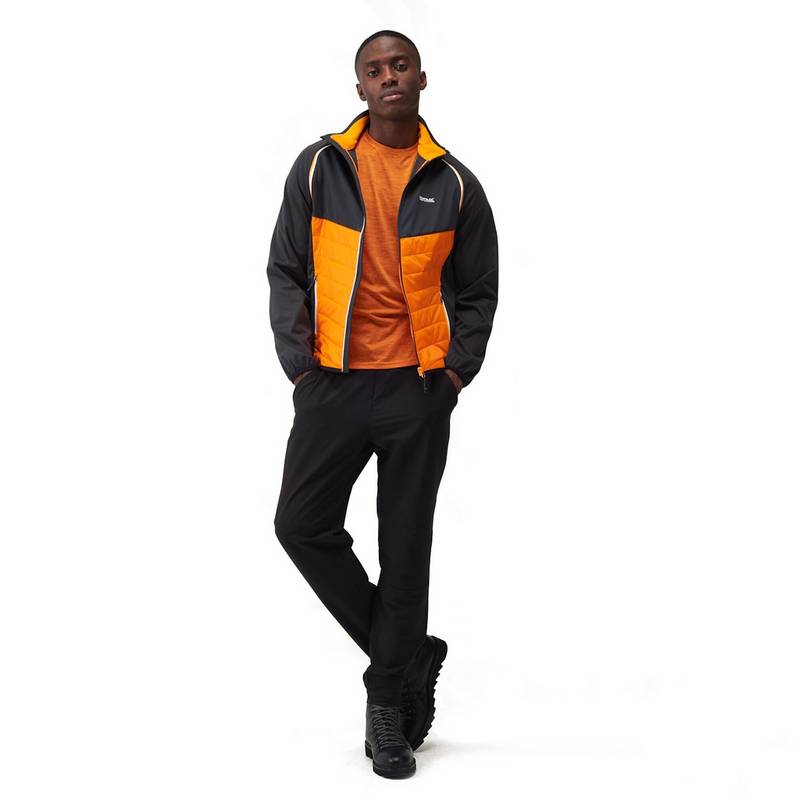 Regatta Steren Funktionsjacke Herren