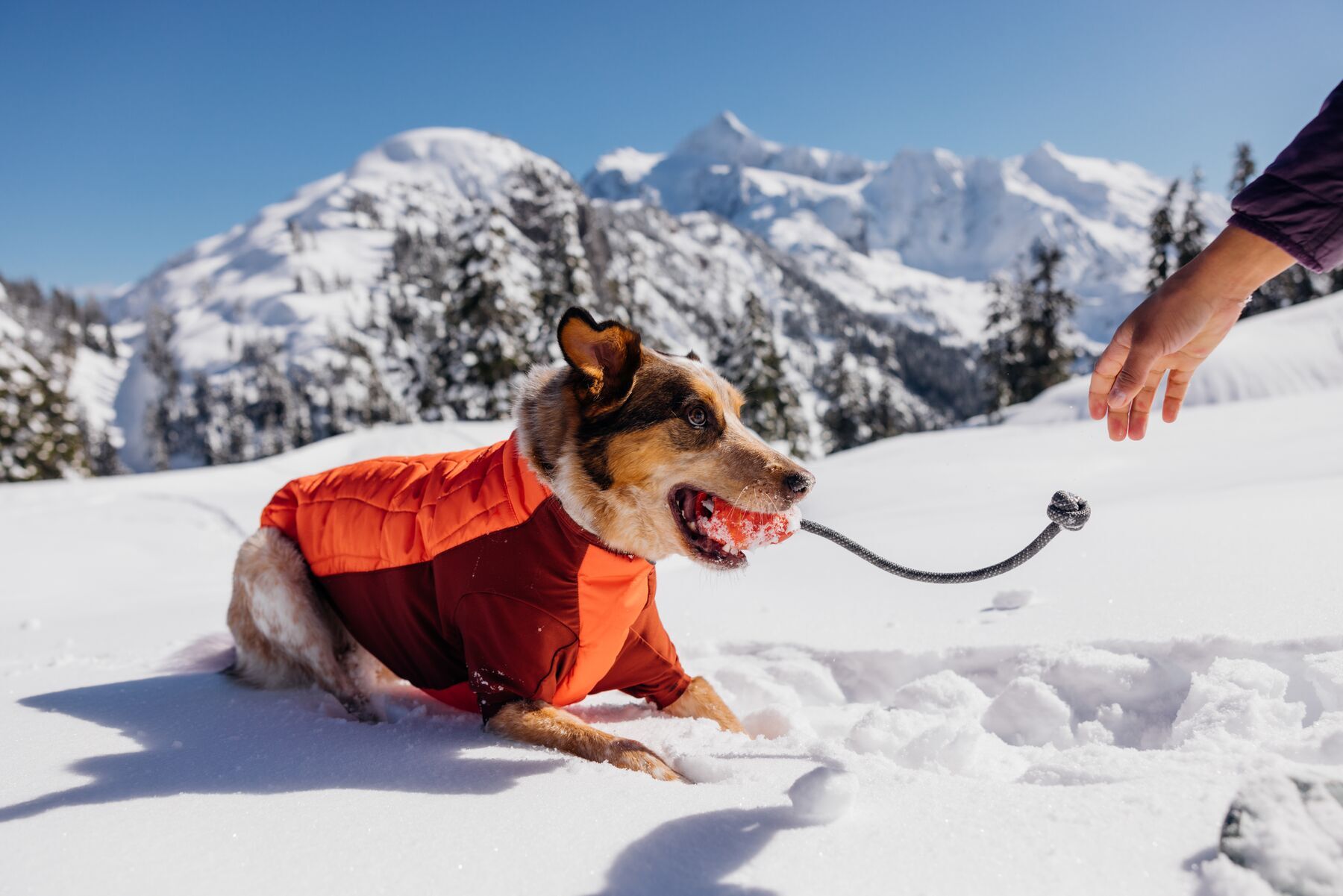 Ruffwear Frisbees & Wurfspielzeug Ruffwear Huck-a-Cone™ Spielzeug rot