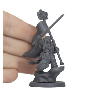 The Standard Bearer 30mm
