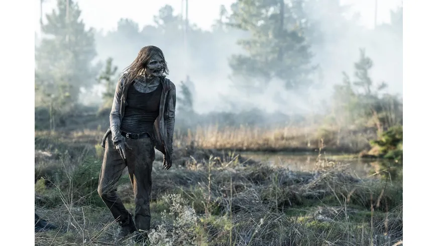 Fear The Walking Dead - Staffel 8  [3 DVDs]