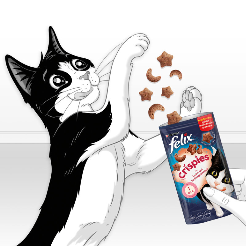 Felix Snacks Felix Crispies 8x45g Lachs & Forelle