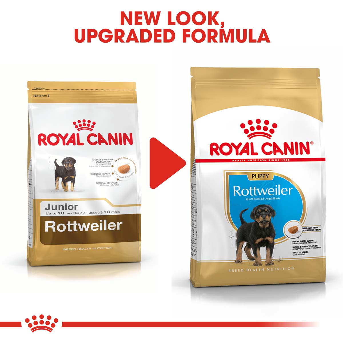 ROYAL CANIN Rottweiler Puppy Welpenfutter trocken bei ZooRoyal