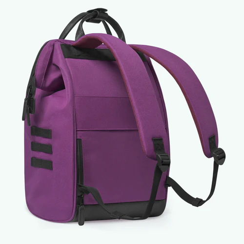 Adventurer Large Backpack Singapore Purple