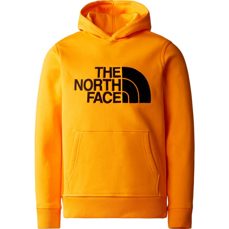 The North Face Off Mountain Logowear Hoodie Jungen
