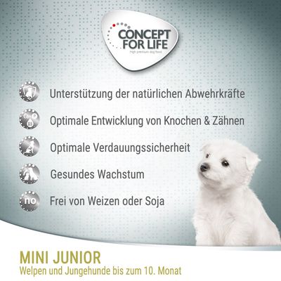 Concept for Life Mini Junior