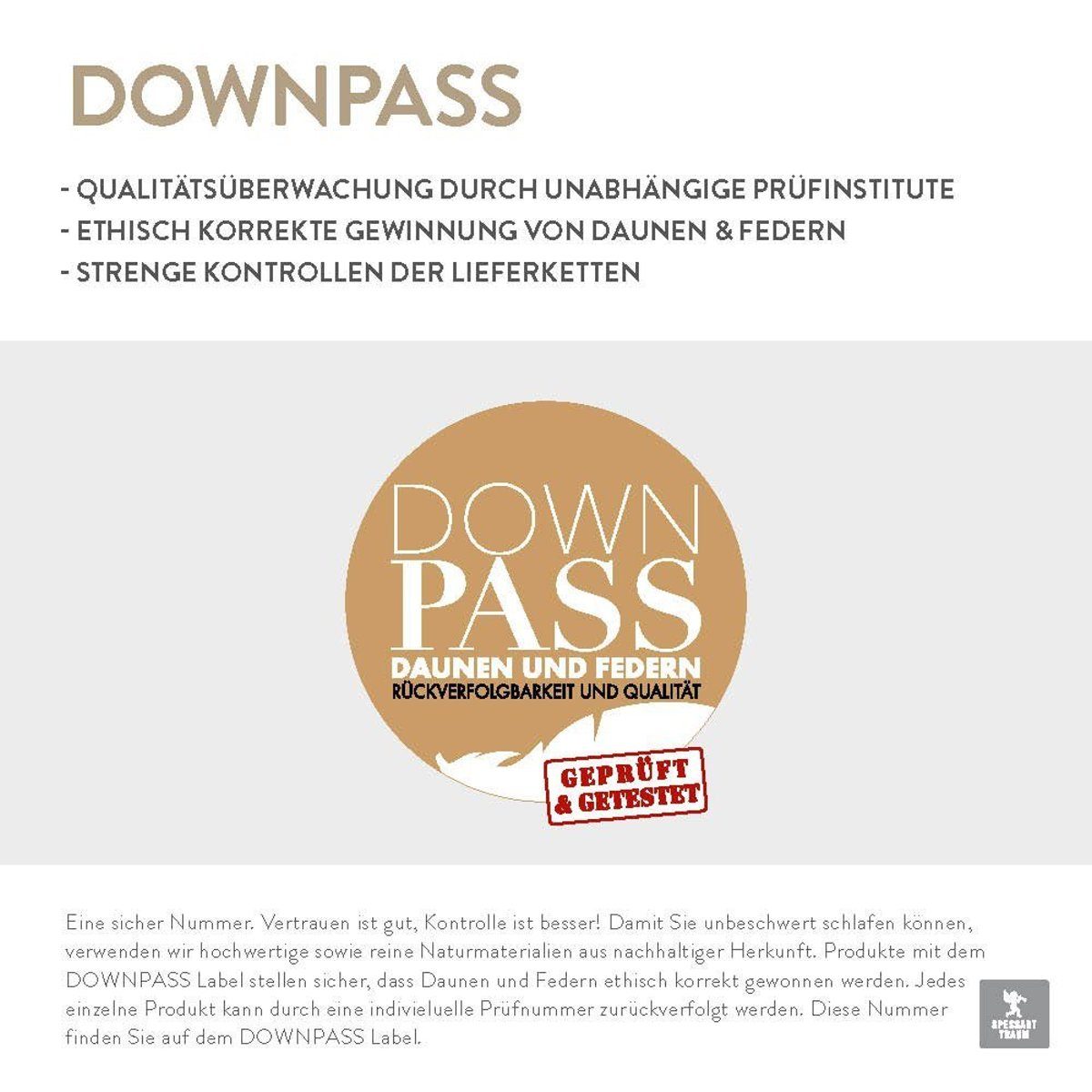 Federkopfkissen Kopfkissen Kissen 1100g neue weiße Daunen und Federn Daunenpass 80x80, Sympathica, Füllung: 85% neue weiße Federn, 15% neue weiße Daunen, Bezug: 100% Baumwolle, Seitenschläfer, Rückenschläfer, Bauchschläfer, Vom Forschungsinstitut Hoh