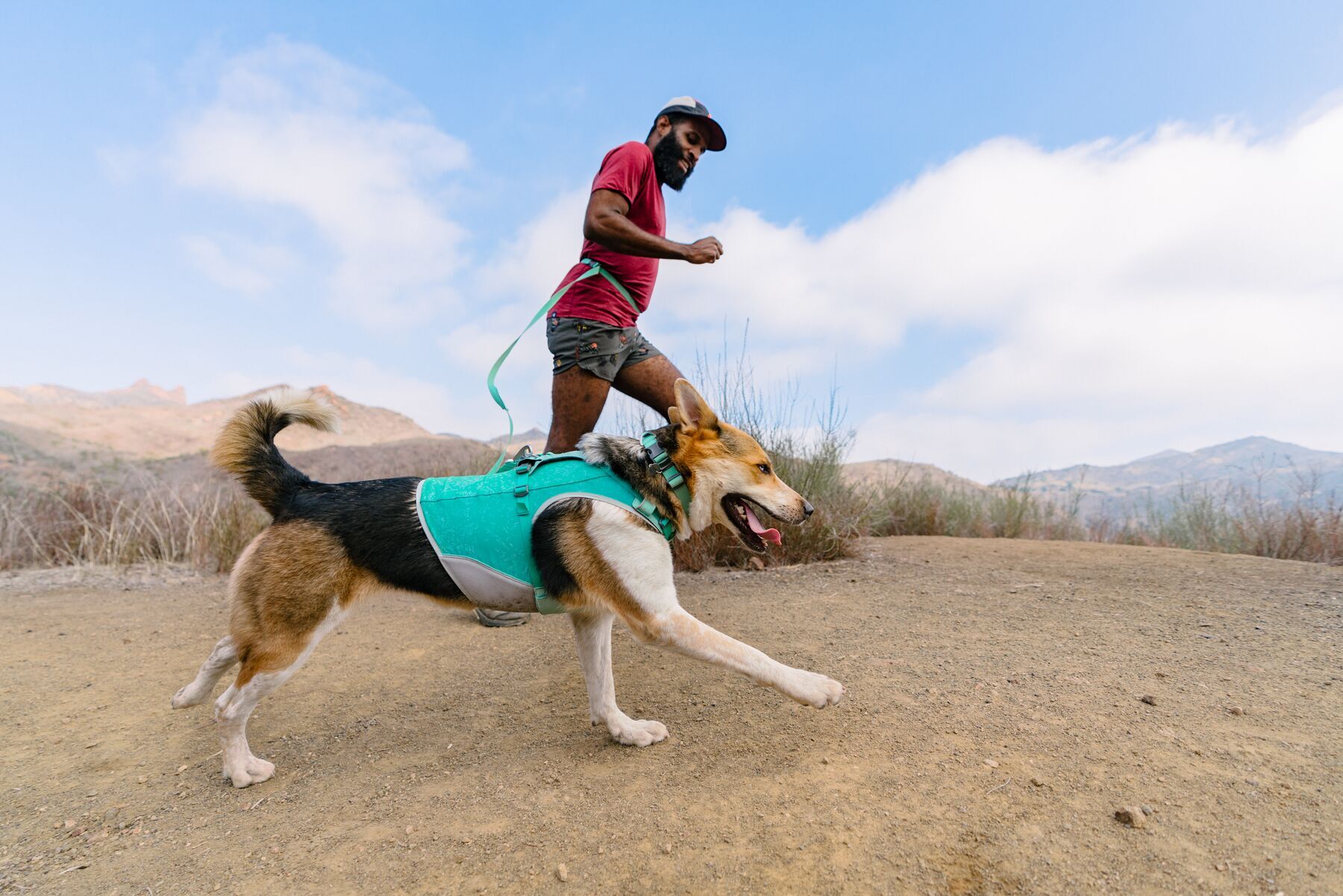 Ruffwear Hundeleinen Ruffwear Hi & Light™ Leine grün