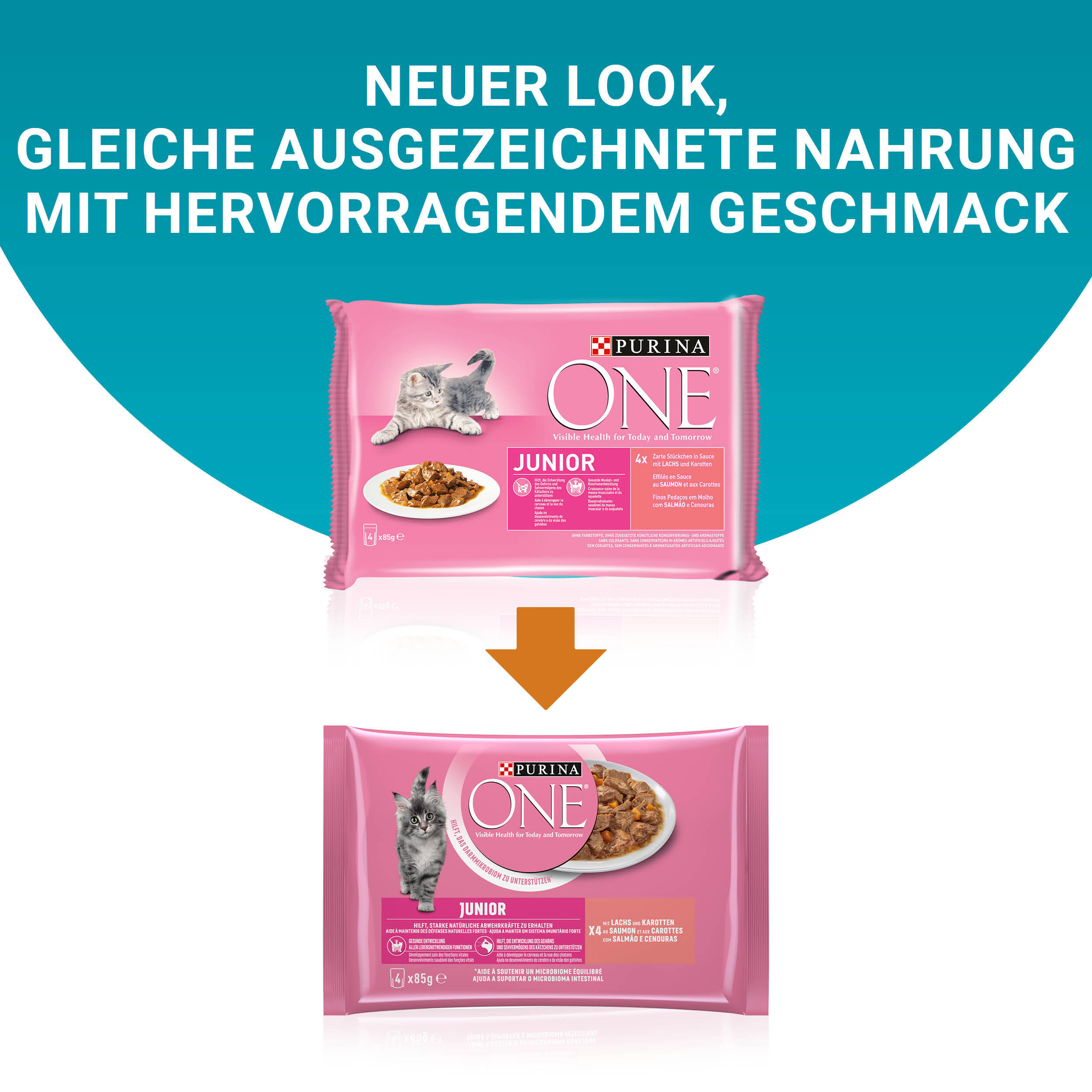 Purina ONE Nassfutter Purina ONE Junior Kittenfutter nass zarte Stückchen in Sauce Lachs 48x85g