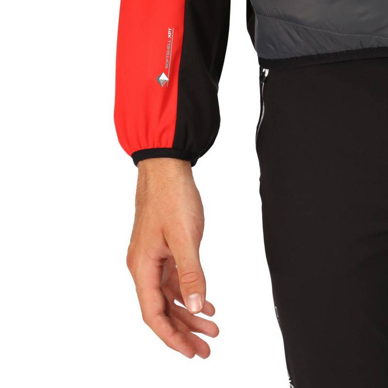 Regatta Steren Funktionsjacke Herren