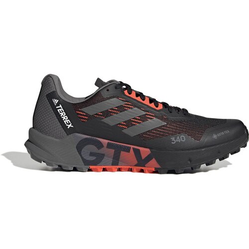 HERREN TRAILRUNNINGSCHUHE TERREX AGRAVIC FLOW 2 GTX