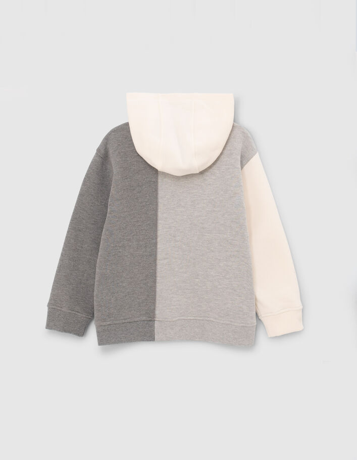 Sweat gris et écru à visuels coupés garçon