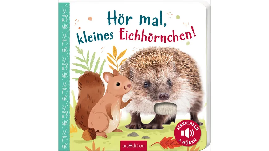 Hör mal, kleines Eichhörnchen! Streicheln und hören