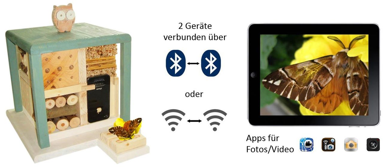 Luxus-Insektenhotels Luxus-Insektenhotel 