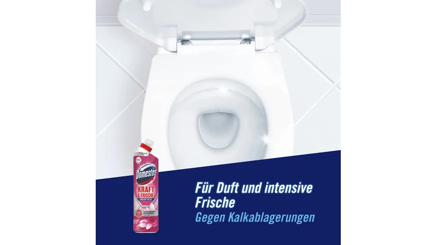 Domestos WC Gel Floral 750 ml 0.75 l