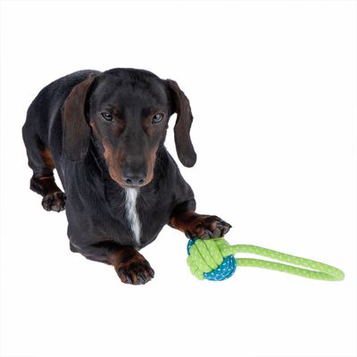 Hundespielzeug Limoen Ball & Seil
