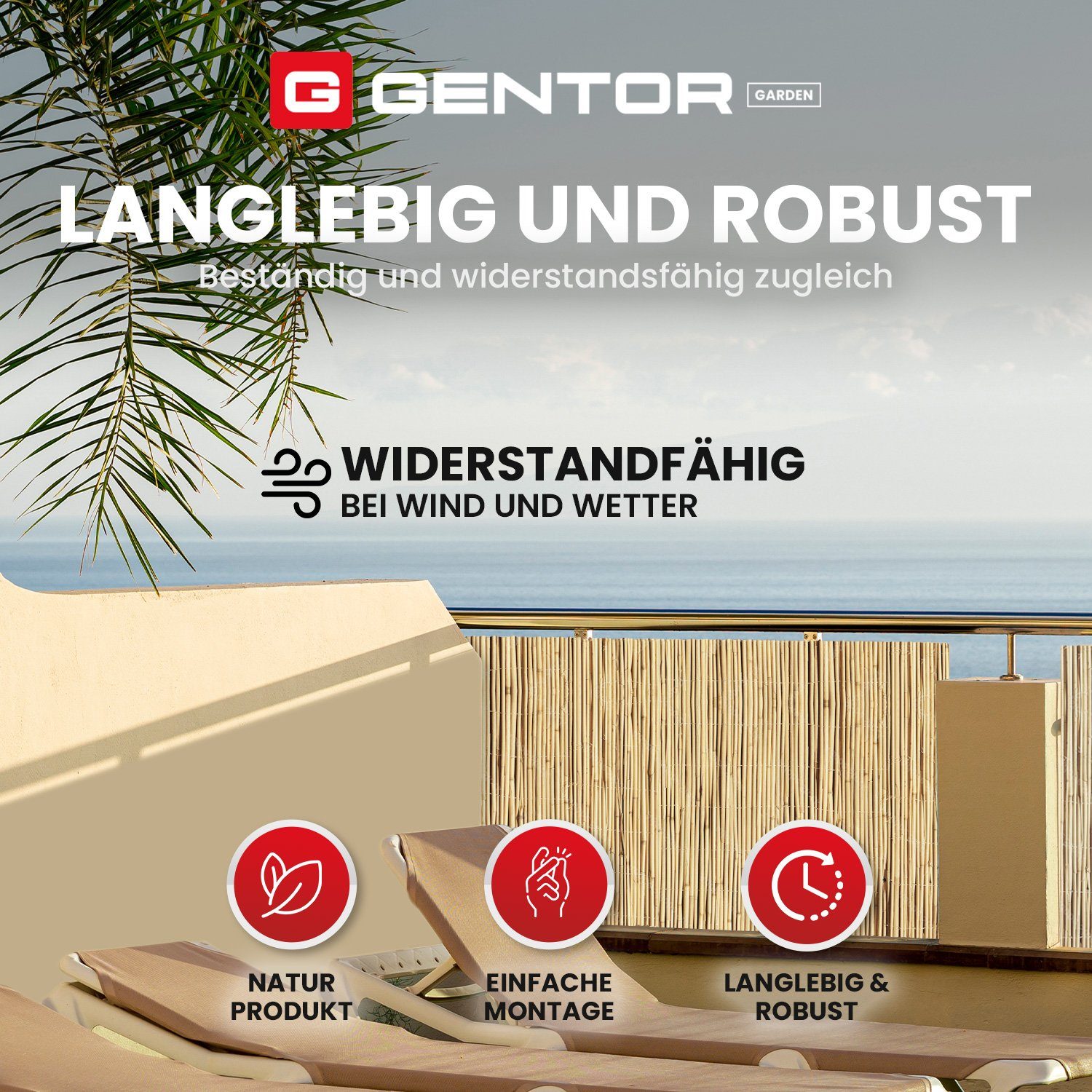 GENTOR Sichtschutzzaunmatten Schilfmatte Schilfrohrmatte Sichtschutzmatte Windschutz Sichtschutz, (Packung), Langlebig