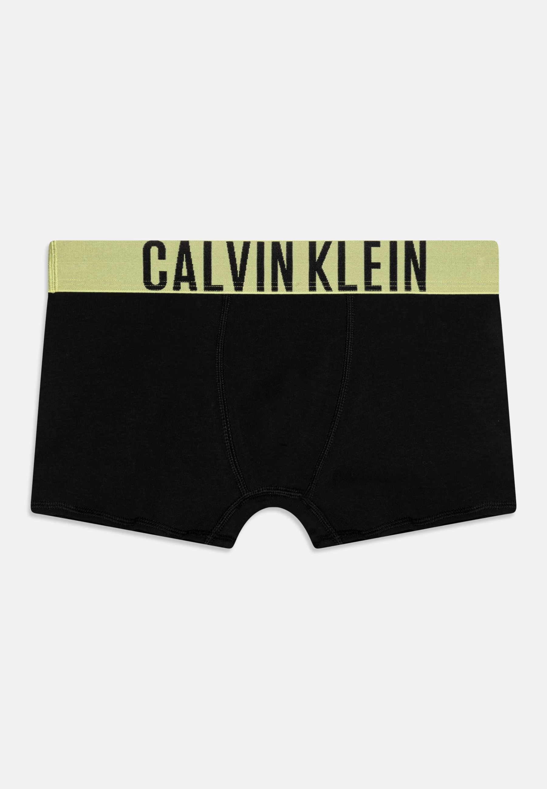 Calvin Klein Underwear TRUNK PACK DE 2 - Culotte