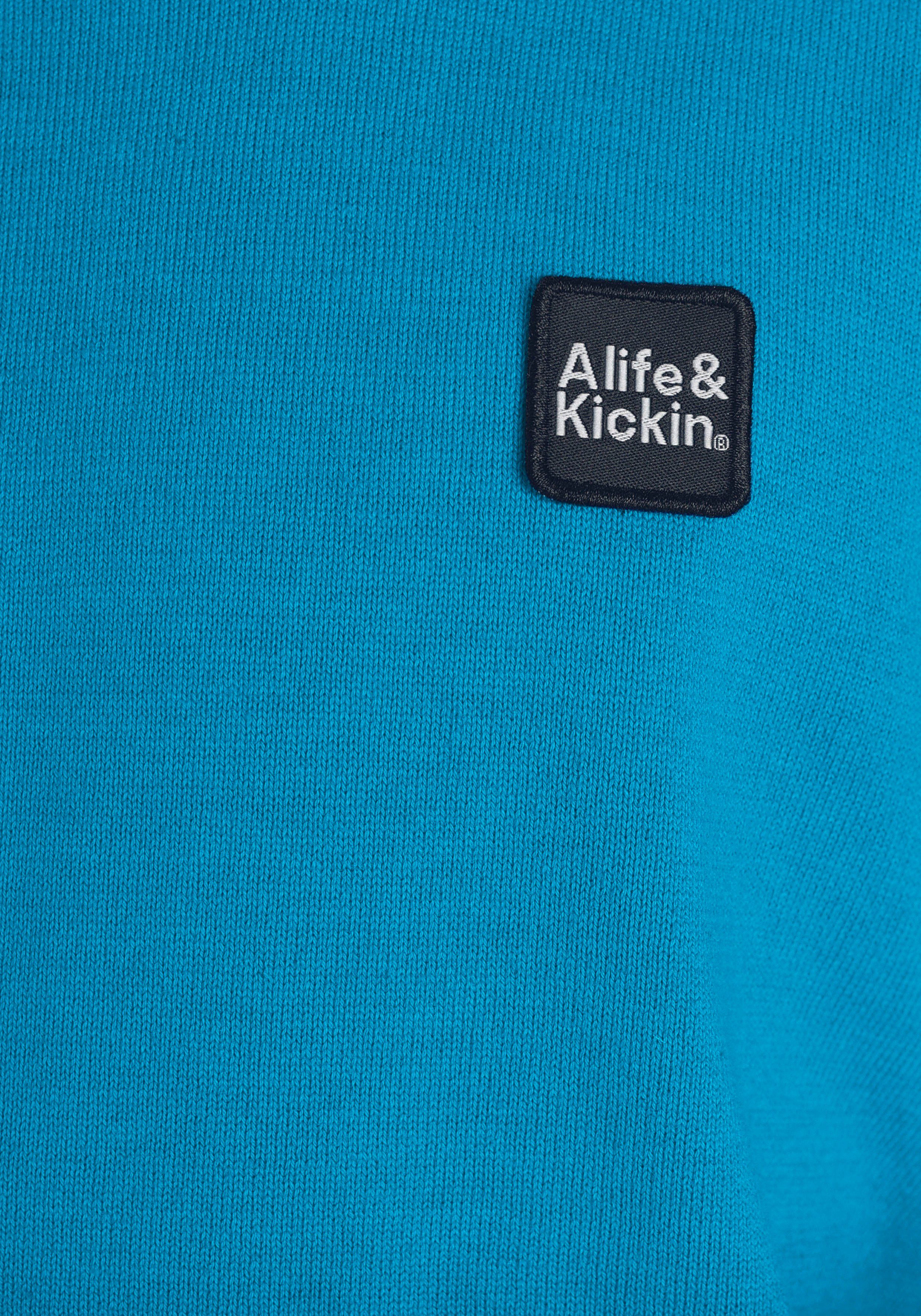 Alife & Kickin Strickpullover für Jungen, in tollem Farbverlauf