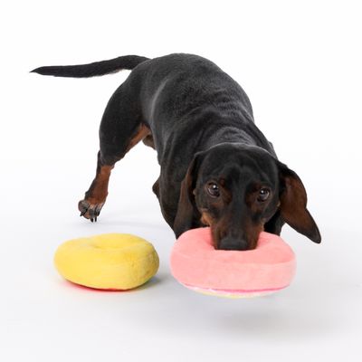 Hundespielzeug Squeaky Donuts Set