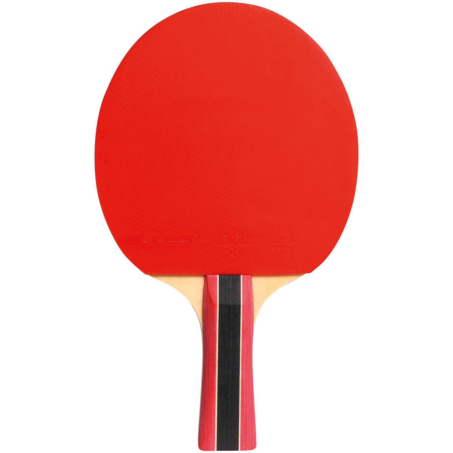 Cornilleau Sport 300 Tischtennisschläger Indoor
