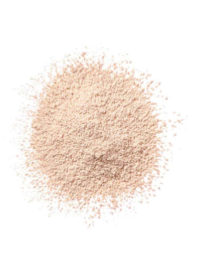 CLINIQUE Blended Face Powder - loose powder