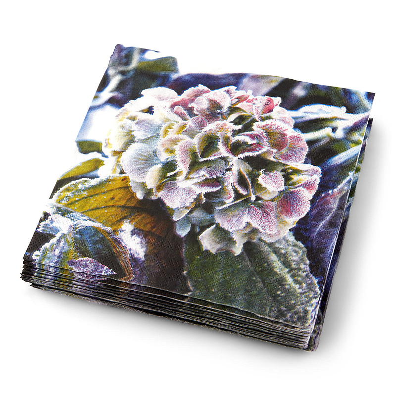 Vie Eco Servietter 20-pk 33x33 cm, Advent
