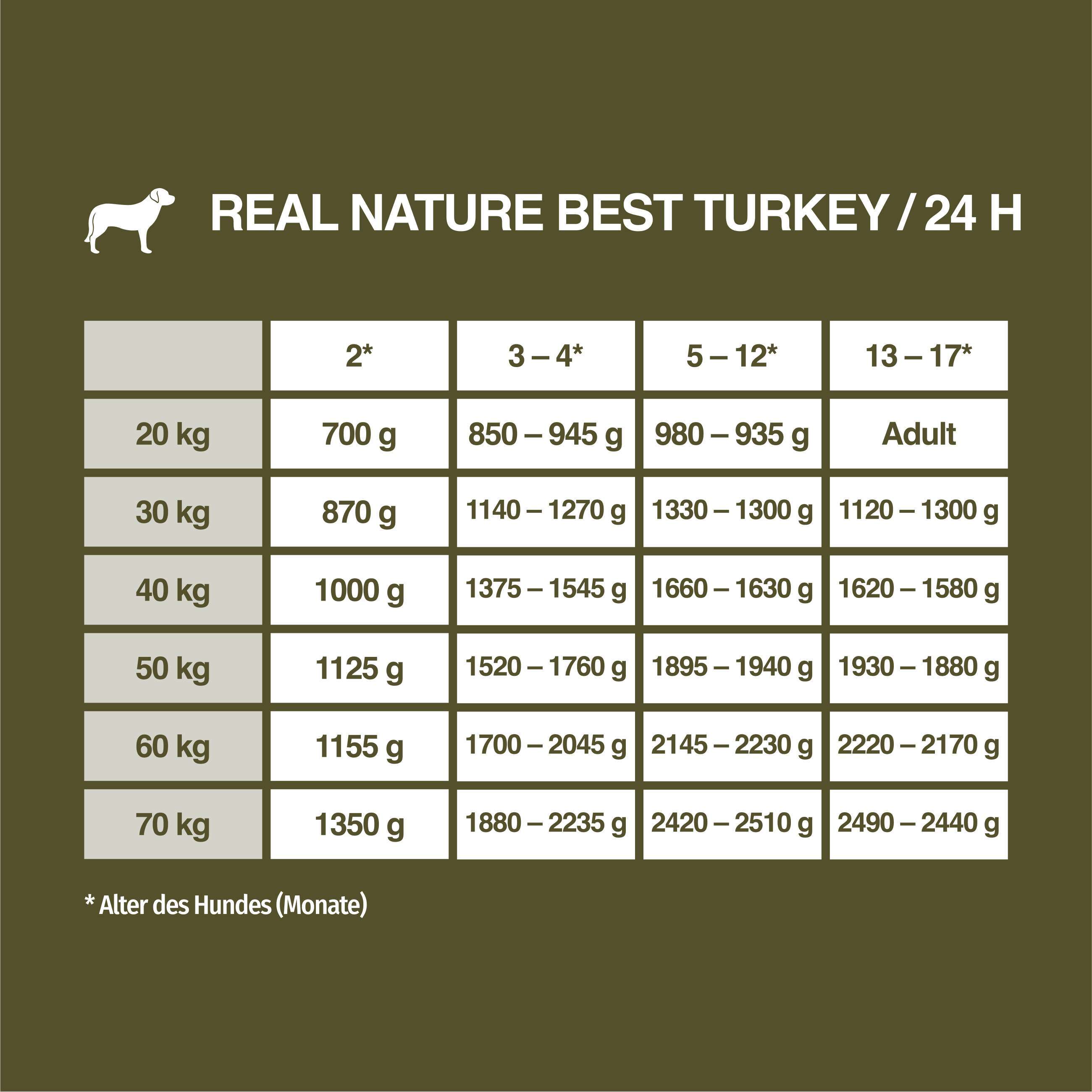 REAL NATURE Hundenassfutter REAL NATURE WILDERNESS Junior Wurst Best Turkey - Truthahn mit Buchweizen & Apfel 800 g