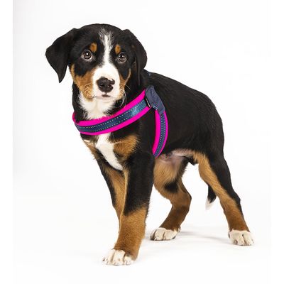 Max & Molly Q-Fit G﻿eschirr Matrix Pink