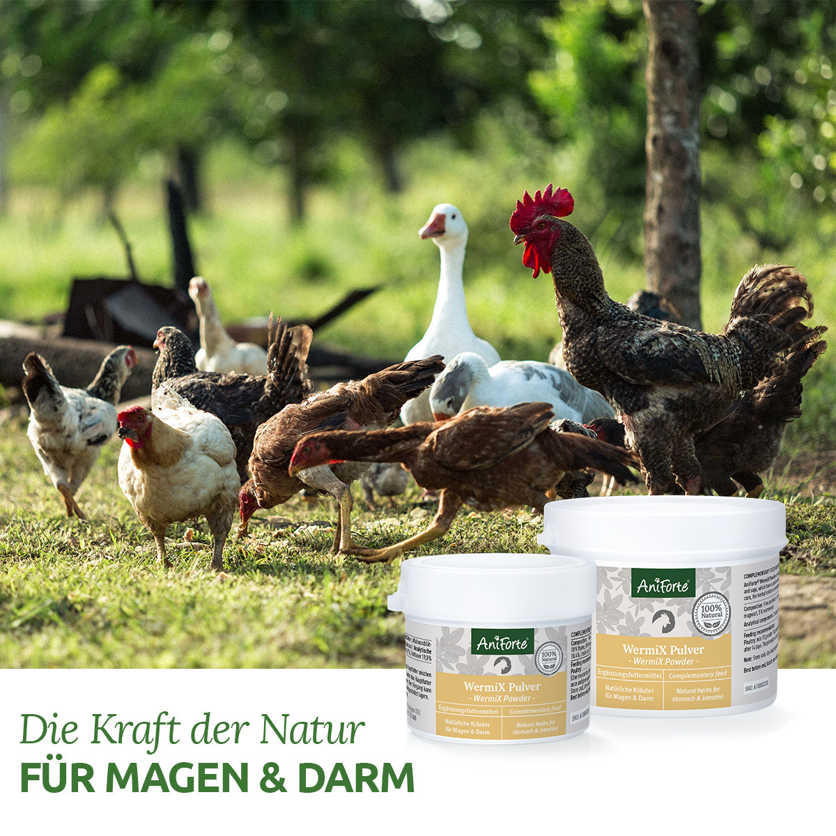Aniforte Futter & Heu Aniforte Wermix für Hühner & Co 50g