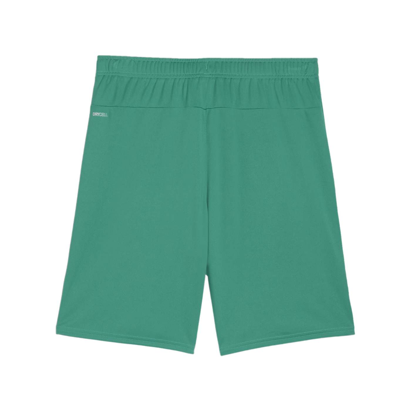 PUMA teamGOAL Short Grün Weiss F05