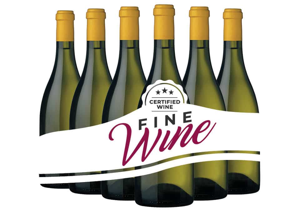 Ballot Millot, Meursault, Blanc France Burgundy Meursault 2019 6 bouteilles de 0,75 ℓ