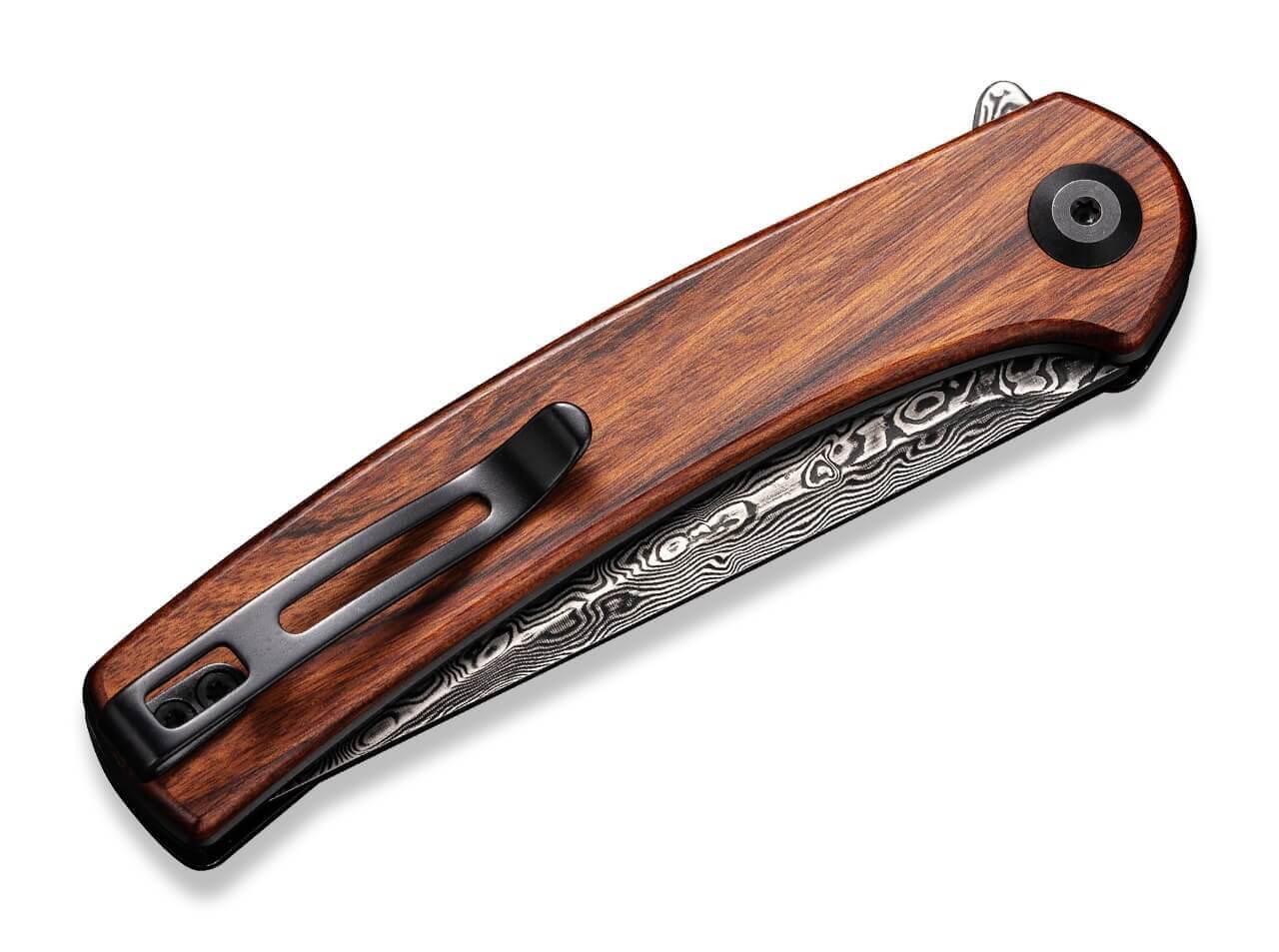 Mini Asticus Cuibourtia Damascus