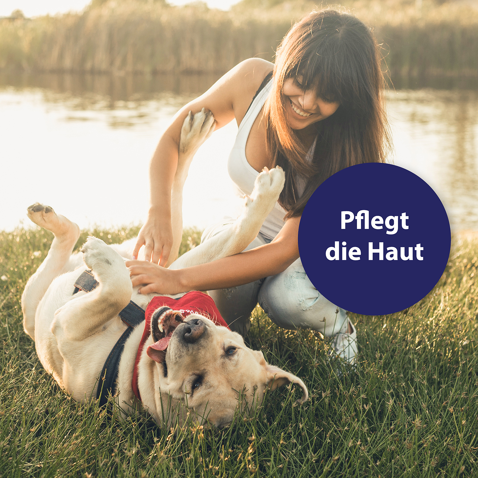 Canosept Fellpflege Canosept Hautpflege Spray für Hunde 250 ml