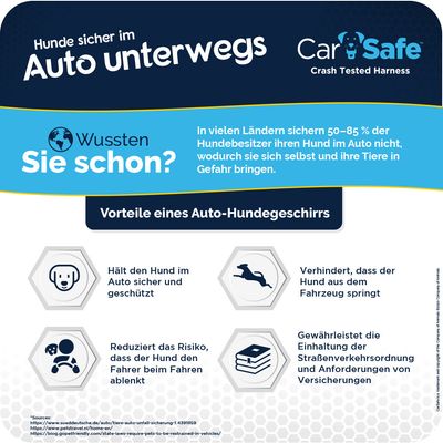 CarSafe Hundereisegeschirr, schwarz