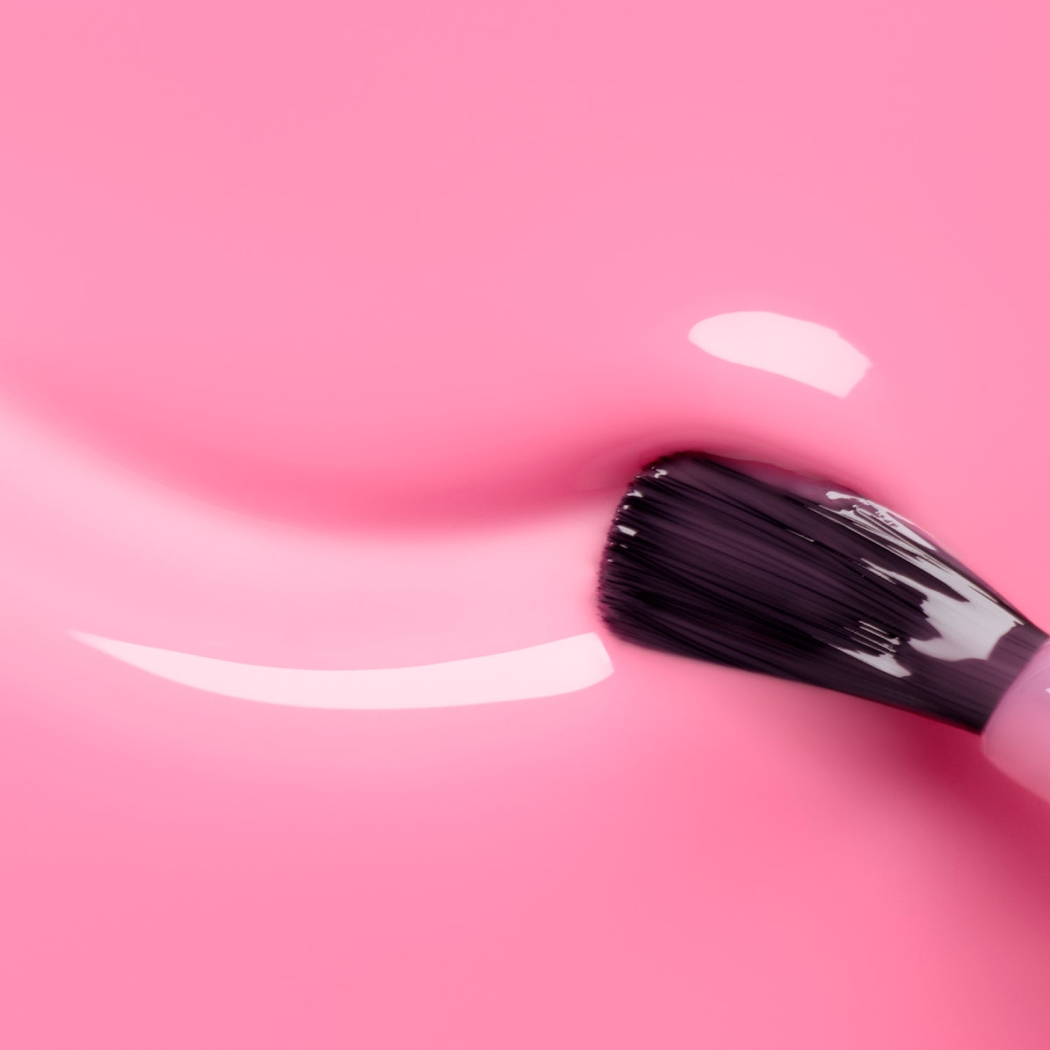Gelatina di sorbetto rosa