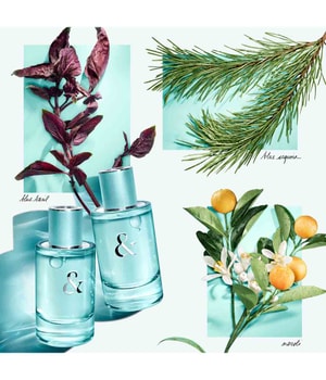Tiffany & Co. & Love for Her Eau de Parfum 90 ml