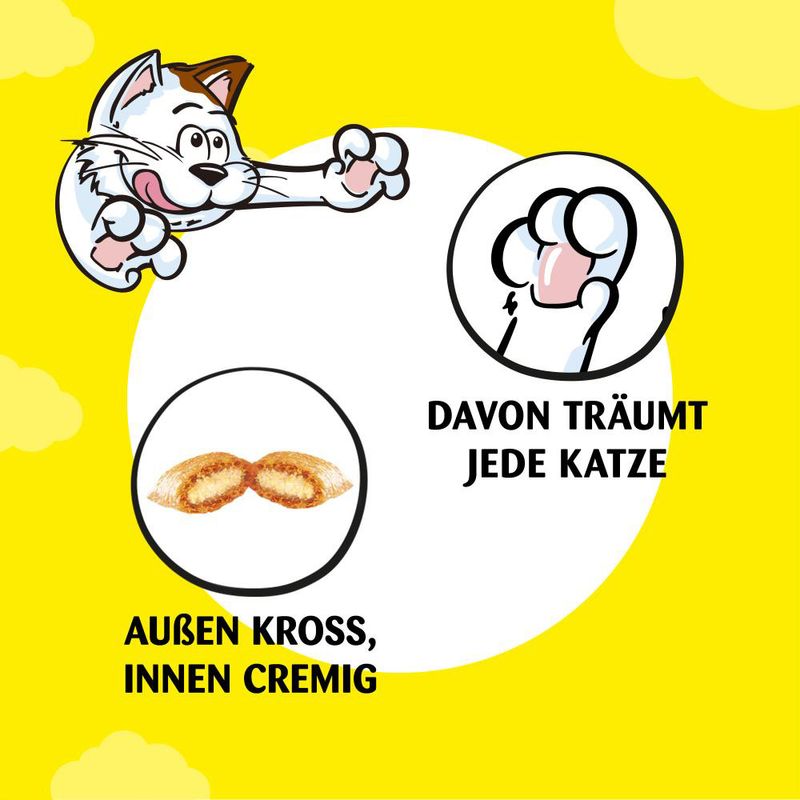 Dreamies Katzensnacks Variety Box zu TOP-Preisen