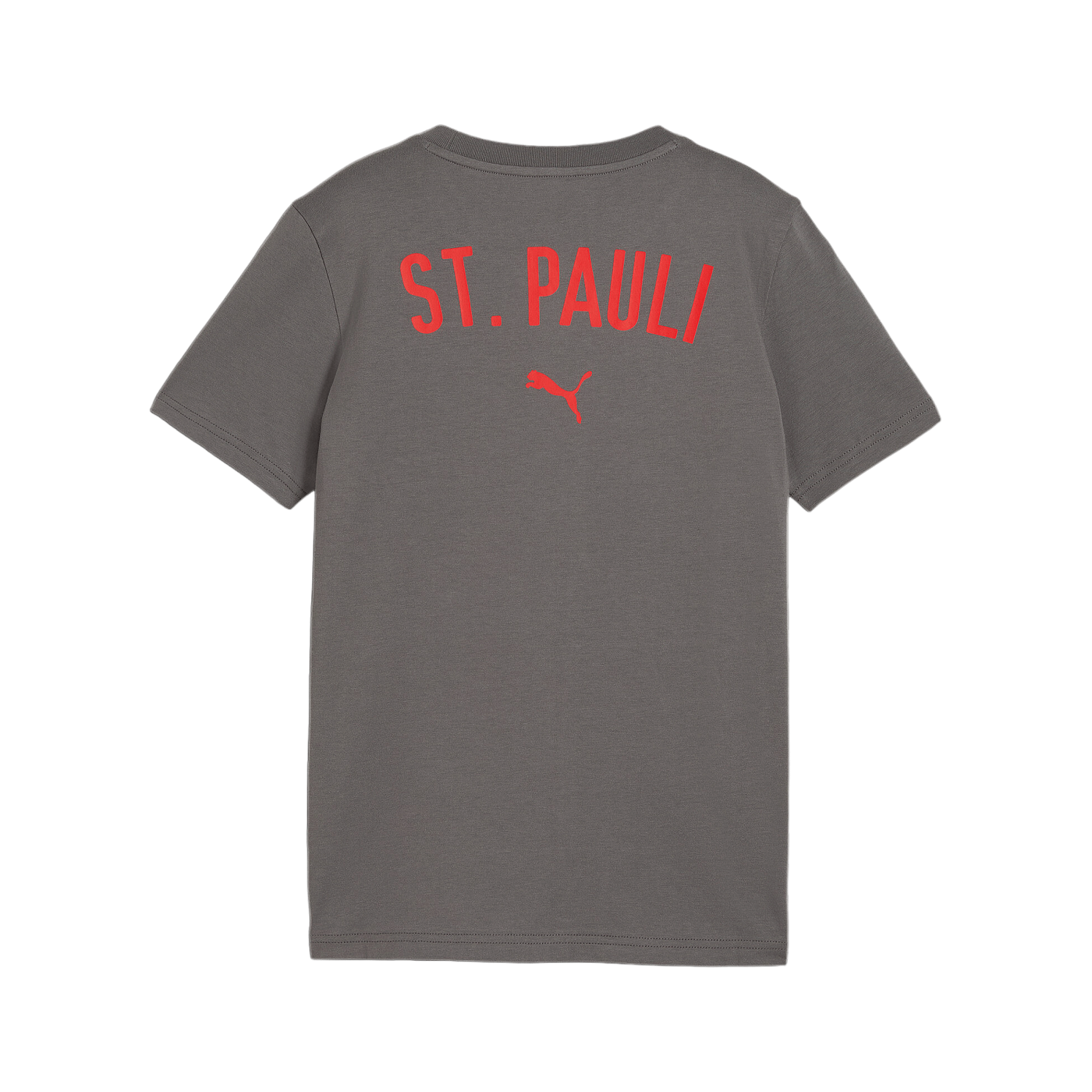 PUMA FC St. Pauli Casual T-Shirt Kids Grau F06