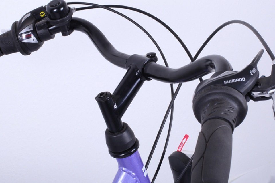Talson Cityrad 26 Zoll Cityrad 064, 21 Gang Shimano, Kettenschaltung, mit Beleuchtung nach StVZO und Gepäckträger Lila