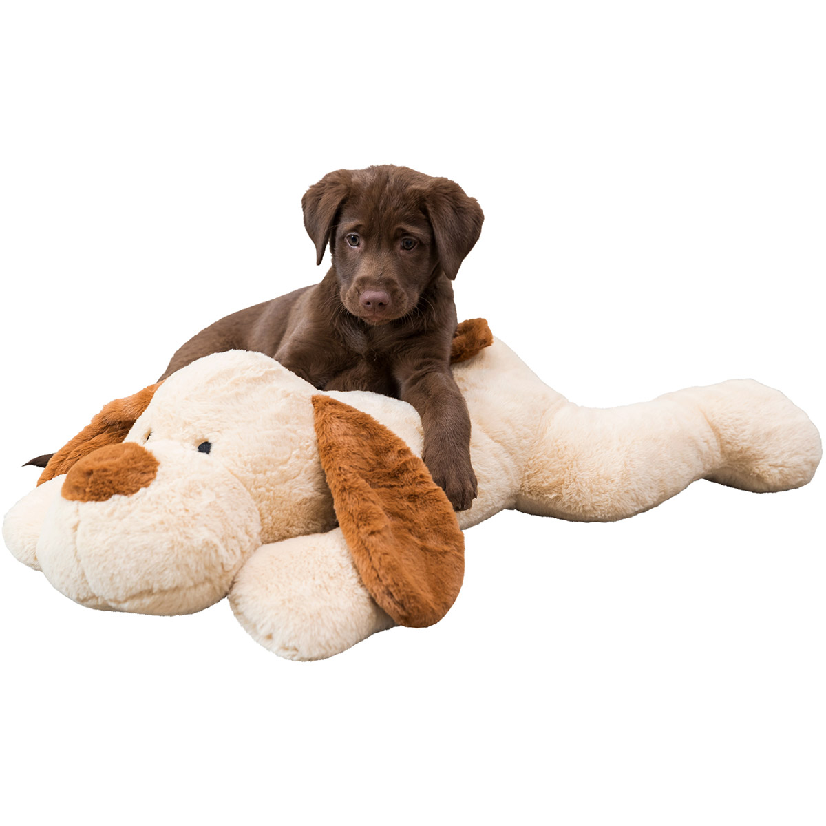 Trixie Ankuschelhund Benny Plüsch 75cm kaufen bei ZooRoyal