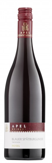 2021 Blauer Spätburgunder - vom Muschelkalk - trocken - Weingut Apel