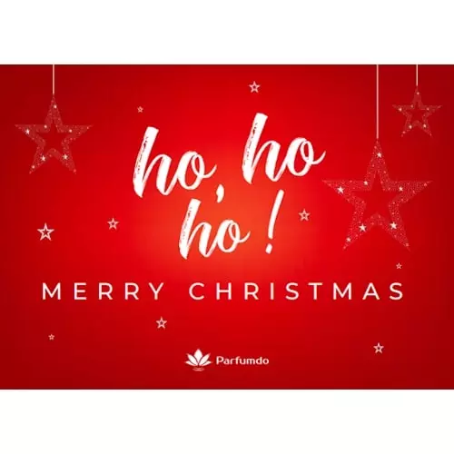 Christmas Card Flyer