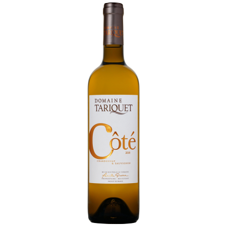 COTE TARIQUET 2022 - DOMAINE TARIQUET