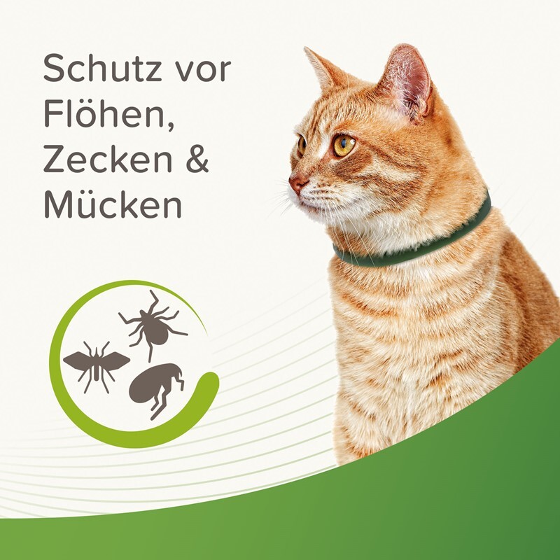 Beaphar Ungeziefer- & Zeckenschutz Beaphar Zecken- und Flohschutz Halsband für Katzen 35cm
