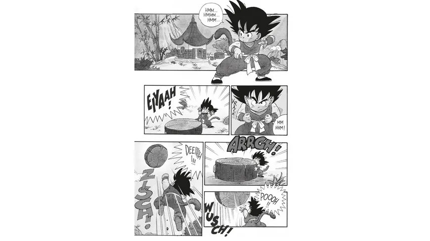 Dragon Ball Massiv 1