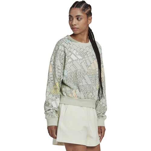 DAMEN SWEATSHIRT W BLUV Q3 SWT G