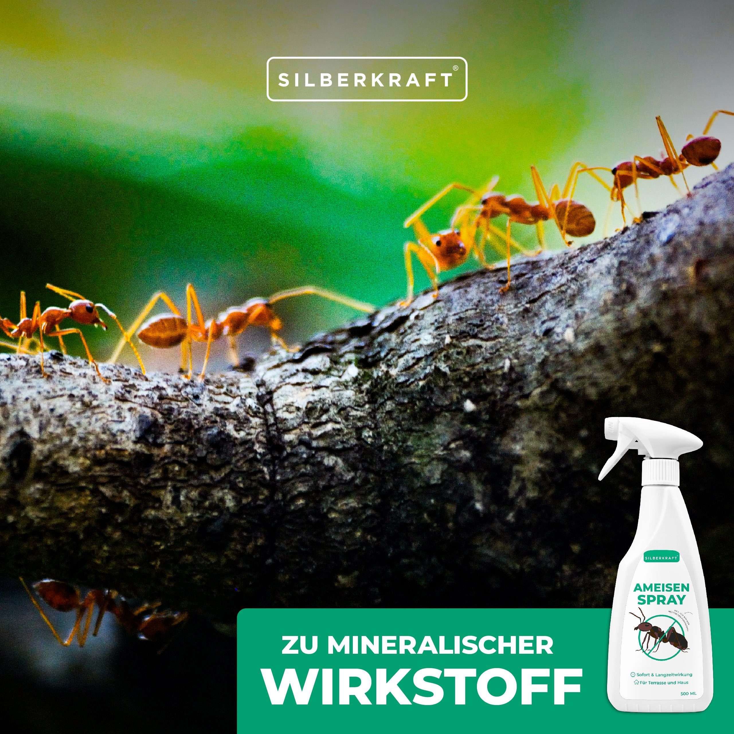 Silberkraft Insektenspray Anti Ameisen Spray - Ameisenspray, 500 ml, 1-St.